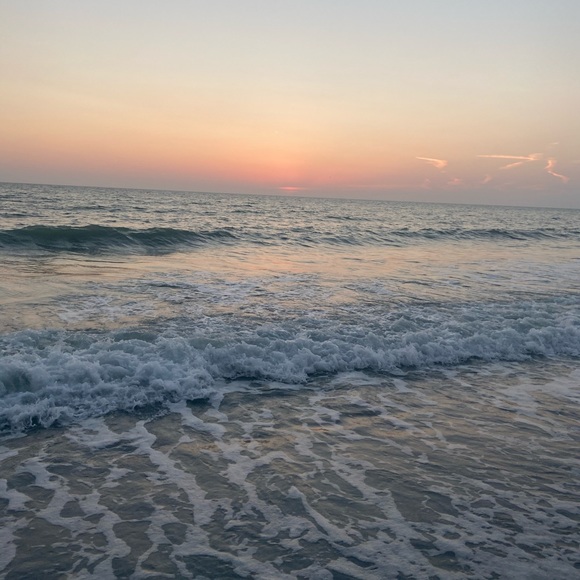 Meet your Posher, Audrey - Picture 1 of 1